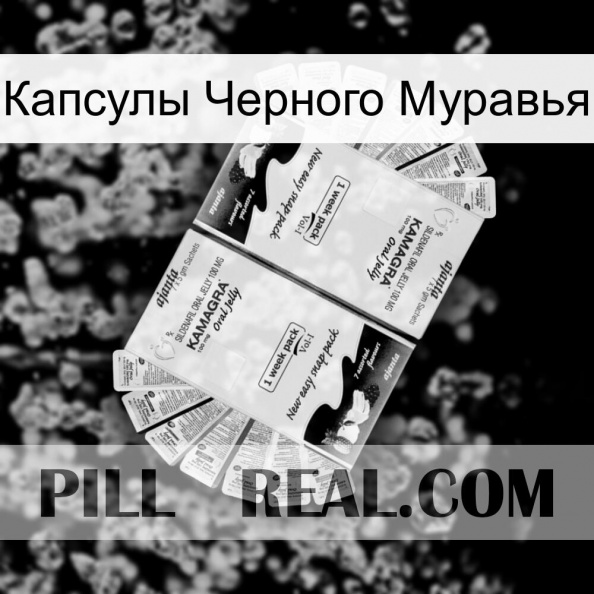 Капсулы Черного Муравья kamagra1.jpg